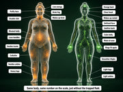 Lymphatic Drops