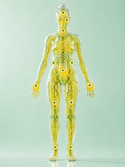 Lymphatic Drops